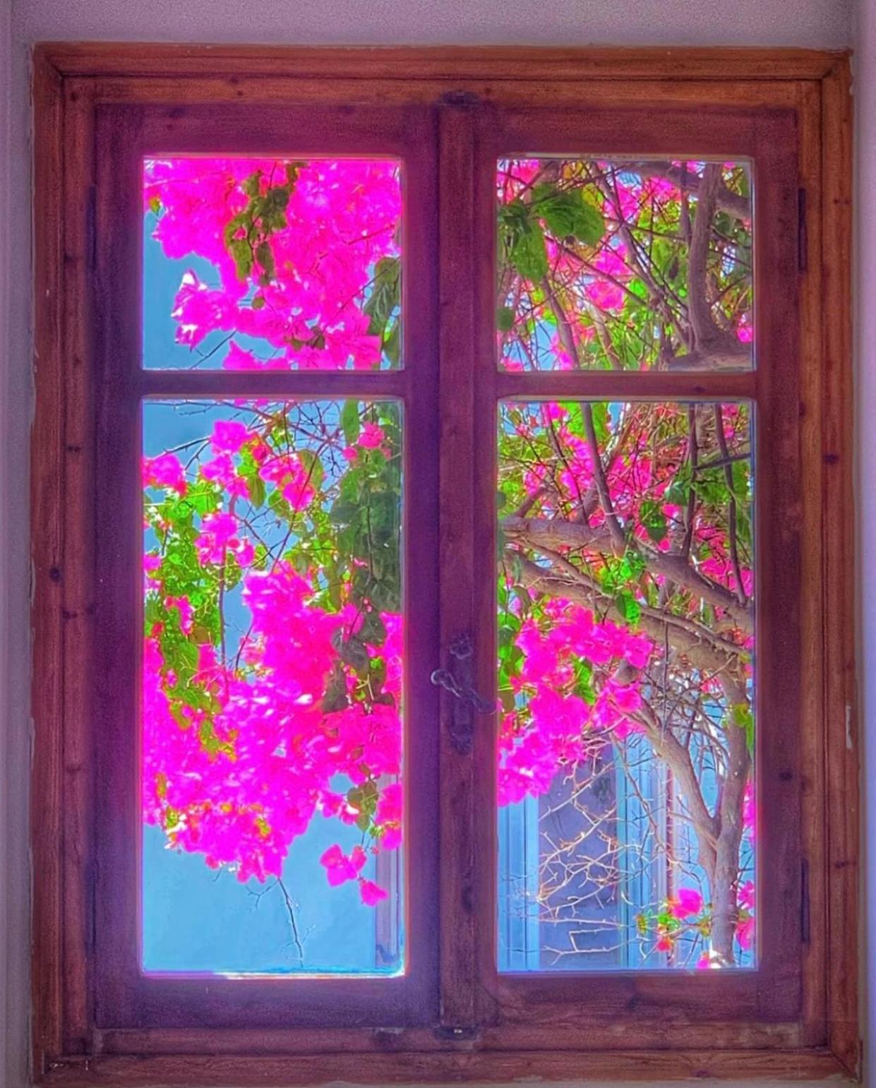 Mare Naxia Hotel Naxos City Kültér fotó
